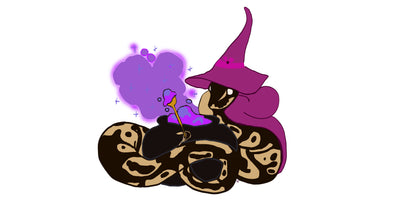 Witchy Sneks